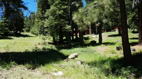 1354 Spring Valley Rd, Tamarack, CA 95223 photo 4
