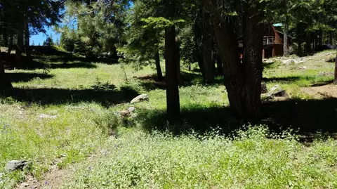 1354 Spring Valley Rd, Tamarack, CA 95223 photo 5