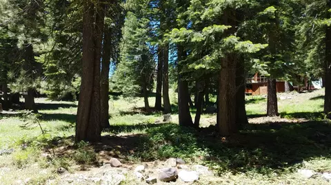 1354 Spring Valley Rd, Tamarack, CA 95223 photo 6