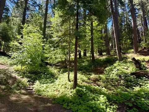 1163 Lilac Dr, Arnold, CA 95223 photo 4