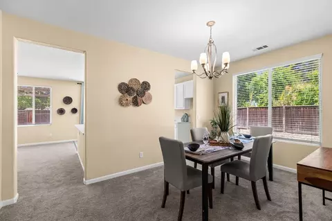 1321 Haley Ct, Tracy, CA 95377 photo 11