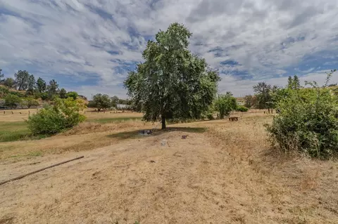11900 Sutter Hill Rd, Sutter Creek, CA 95685 photo 34