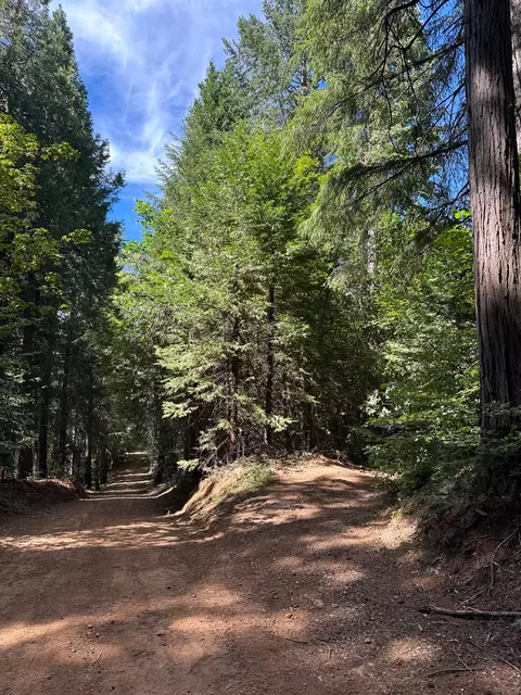 0 Caine, Alta, CA 95701 photo 3