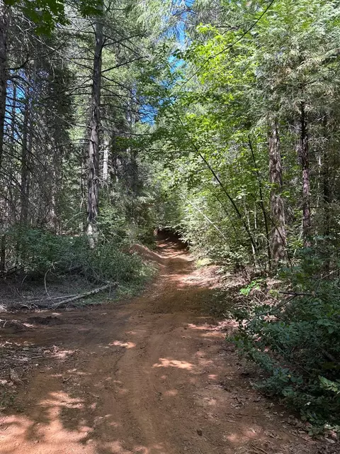 0 Caine, Alta, CA 95701 photo 5