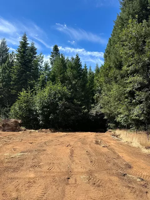 0 Caine, Alta, CA 95701 photo 10