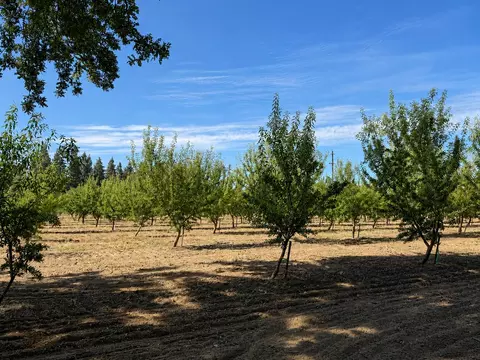 Other - 7824 Mchenry Ave, Modesto, CA 95356 photo 6 of 9