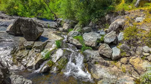 16300 Kiwi Rd, Grass Valley, CA 95949 photo 3
