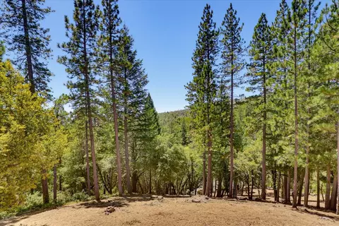 16300 Kiwi Rd, Grass Valley, CA 95949 photo 66
