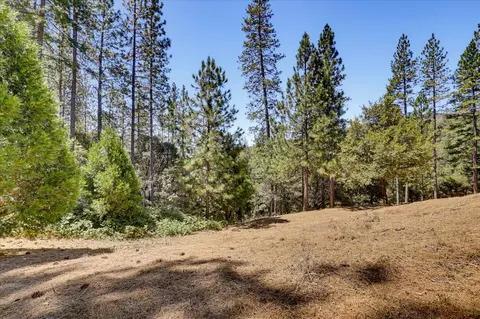 16300 Kiwi Rd, Grass Valley, CA 95949 photo 44