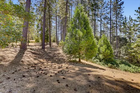 16300 Kiwi Rd, Grass Valley, CA 95949 photo 43