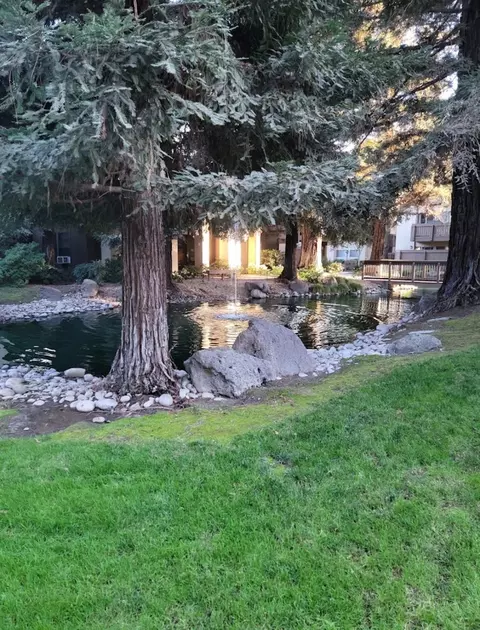 3701 Colonial Dr #41, Modesto, CA 95356 photo 6