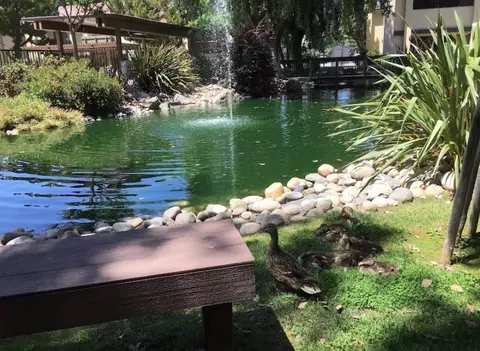 3701 Colonial Dr #41, Modesto, CA 95356 photo 8