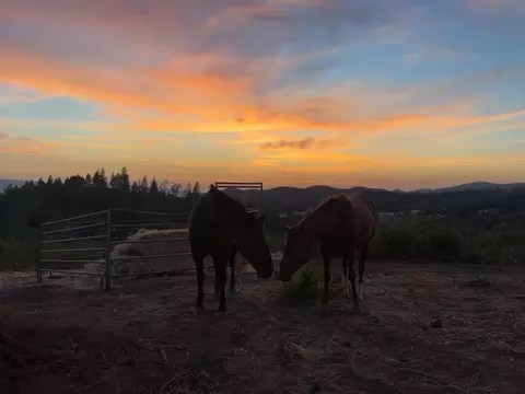 6165 Starlight Ln, Mountain Ranch, CA 95246 photo 2