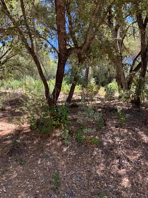 685 Grant Ln, Murphys, CA 95247 photo 1