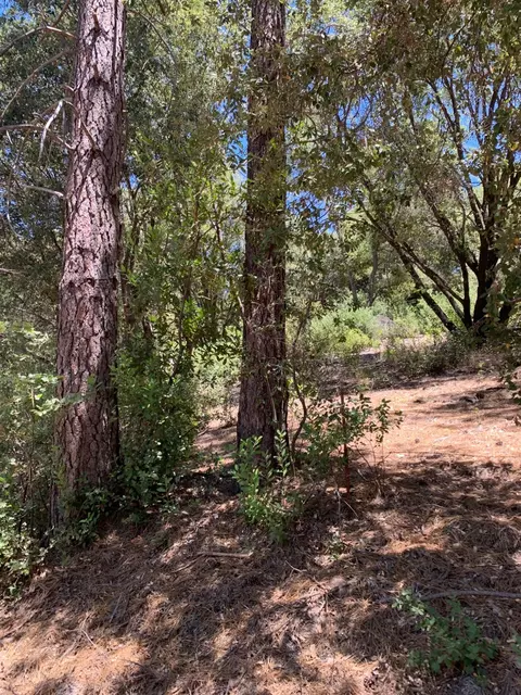 685 Grant Ln, Murphys, CA 95247 photo 2