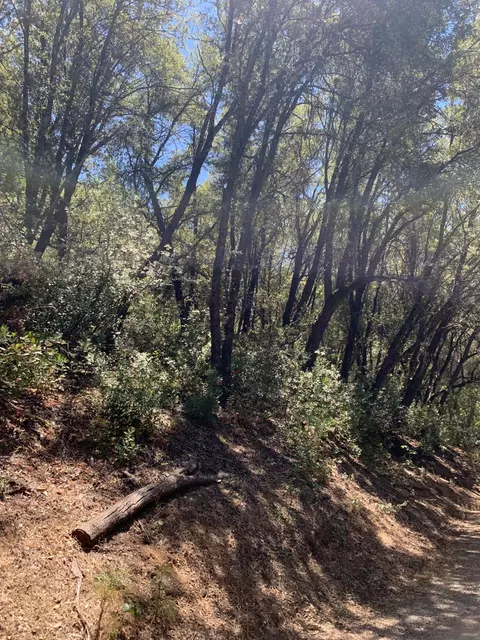 685 Grant Ln, Murphys, CA 95247 photo 4