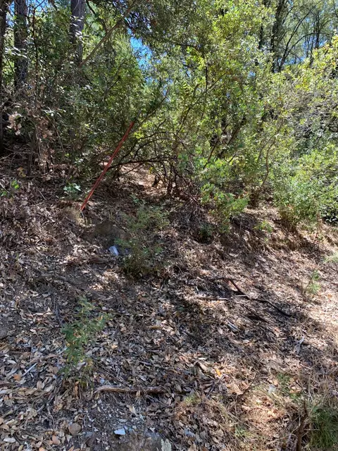 685 Grant Ln, Murphys, CA 95247 photo 7