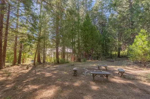 3487 Gardner Flat Rd, Dorrington, CA 95223 photo 19