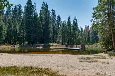 3487 Gardner Flat Rd, Dorrington, CA 95223 photo 34