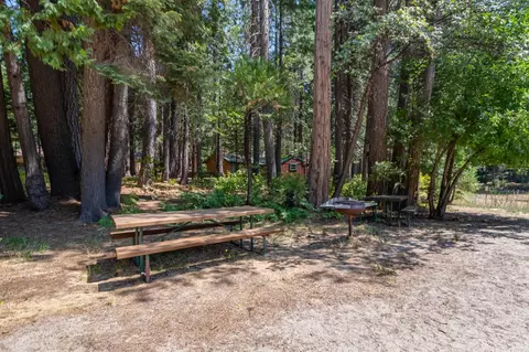 3487 Gardner Flat Rd, Dorrington, CA 95223 photo 37
