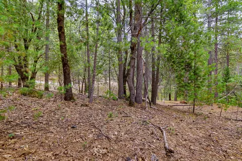 16020 Brooks Rd, Grass Valley, CA 95945 photo 12