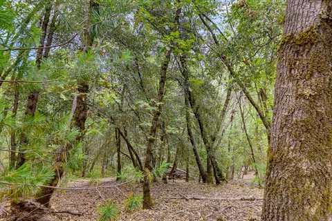 16020 Brooks Rd, Grass Valley, CA 95945 photo 6