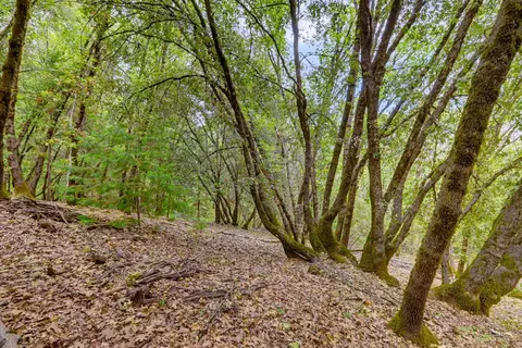 16020 Brooks Rd, Grass Valley, CA 95945 photo 7