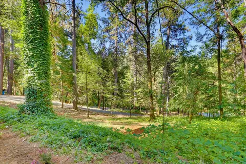 Exterior - 12176 E Bennett Rd, Grass Valley, CA 95945 photo 18 of 30