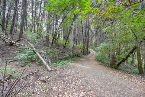 0 Marshall Rd, Georgetown, CA 95634 photo 5