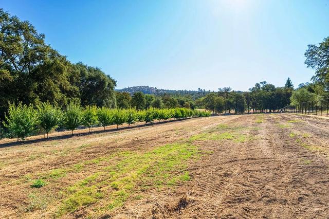 6800 Potts Trl, Browns Valley, CA 95918