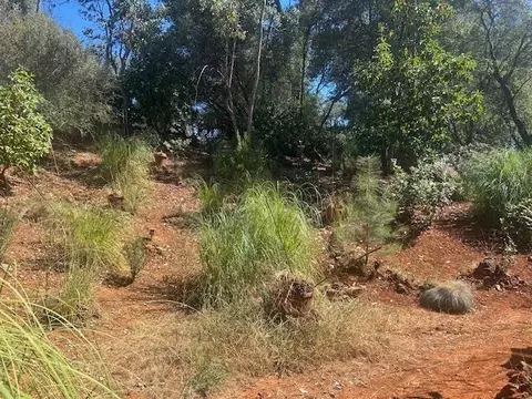 2000 Tegra Rd, Cool, CA 95614 photo 32