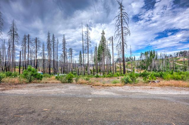 4529 String Canyon Rd, Grizzly Flats, CA 95636