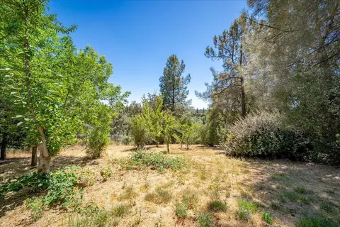 3005 Buckboard Rd, Placerville, CA 95667 photo 59