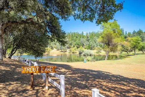 3005 Buckboard Rd, Placerville, CA 95667 photo 73