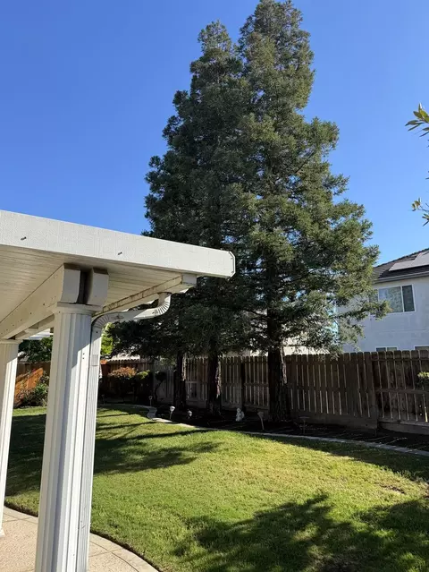 Exterior - 1854 Winding River Ct, Manteca, CA 95337 photo 6 of 11