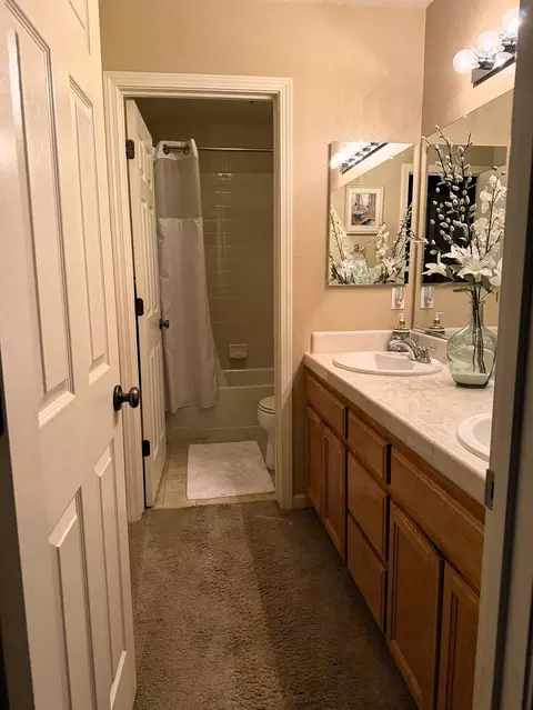 Bath - 1854 Winding River Ct, Manteca, CA 95337 photo 2 of 2