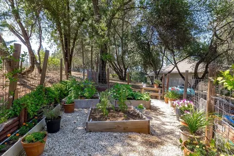 Exterior - 19205 Bald Eagle Loop, Penn Valley, CA 95946 photo 21 of 26