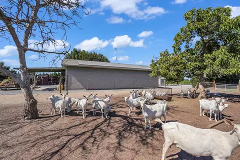 237 Leek Rd, Modesto, CA 95357 photo 51