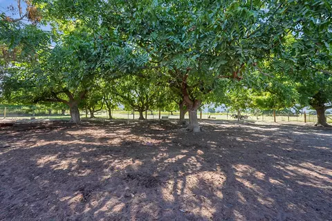 237 Leek Rd, Modesto, CA 95357 photo 27