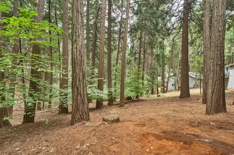 Exterior - 7084 Pine Cone Dr, Pollock Pines, CA 95726 photo 4 of 7