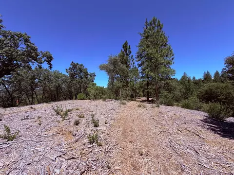 10 Big Oak Ct, Placerville, CA 95667 photo 3