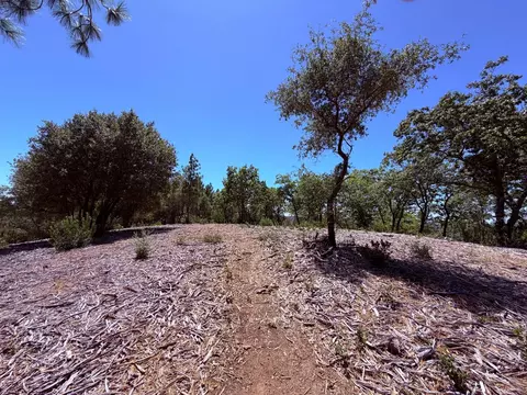 10 Big Oak Ct, Placerville, CA 95667 photo 4