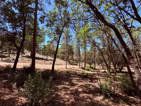 10 Big Oak Ct, Placerville, CA 95667 photo 20