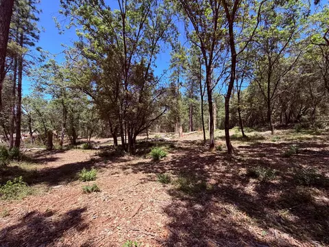 10 Big Oak Ct, Placerville, CA 95667 photo 27