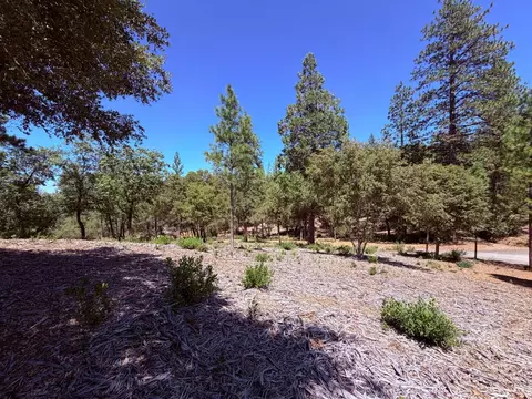10 Big Oak Ct, Placerville, CA 95667 photo 10