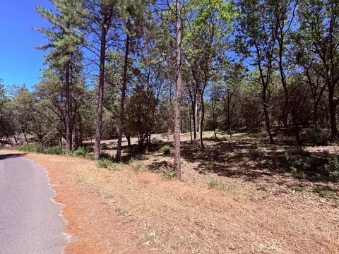 10 Big Oak Ct, Placerville, CA 95667 photo 28