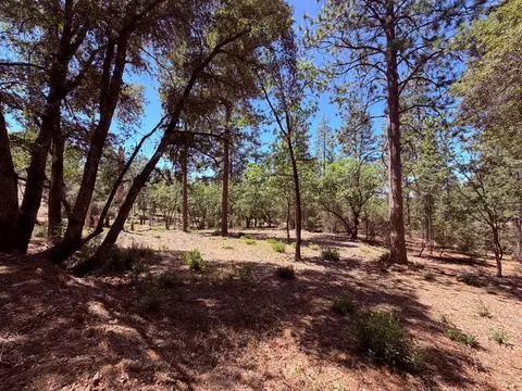 10 Big Oak Ct, Placerville, CA 95667 photo 19