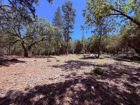 10 Big Oak Ct, Placerville, CA 95667 photo 22