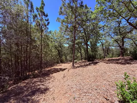 10 Big Oak Ct, Placerville, CA 95667 photo 13