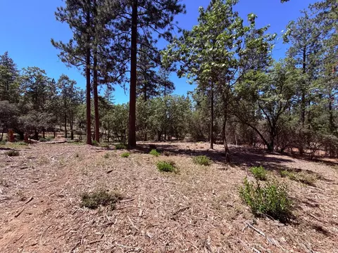 10 Big Oak Ct, Placerville, CA 95667 photo 25
